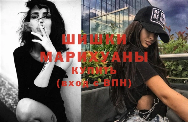 гидра Верея