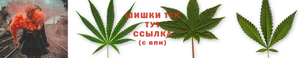 сатива Бугульма