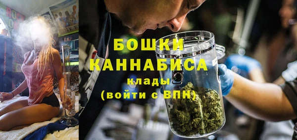гидра Верея