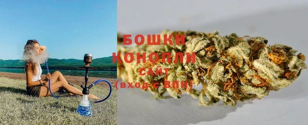 гидра Верея