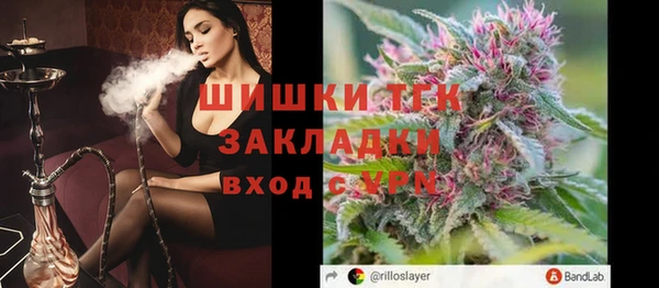 гидра Верея